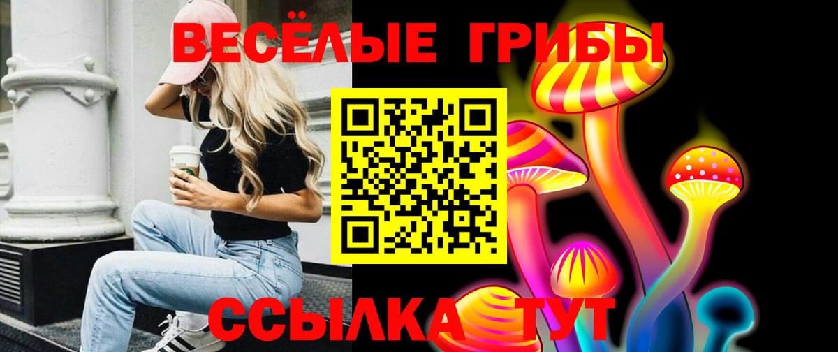 купить наркотик  Галлюциногенные грибы Cubensis  Вход с VPN  Озёры 