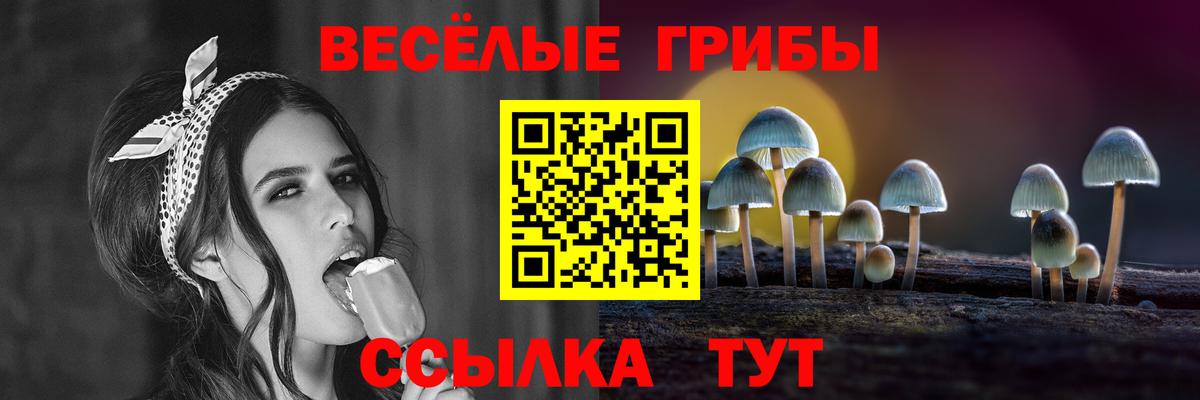 Галлюциногенные грибы Psilocybine cubensis Озёры